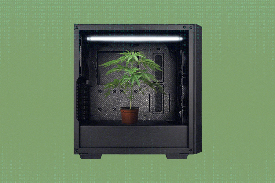 Top-Tipps für die Einrichtung Ihres ersten Growzelts